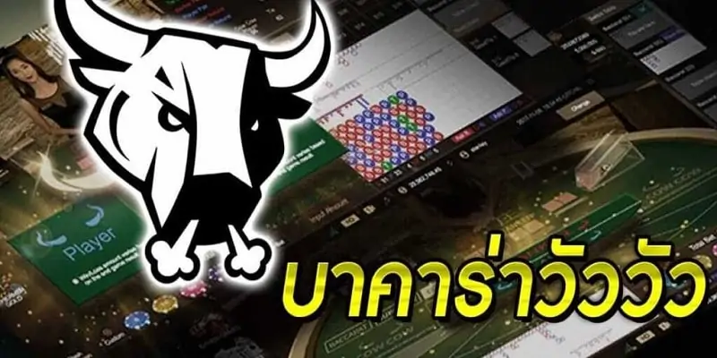 บาคาร่าวัววัว cow cow baccarat